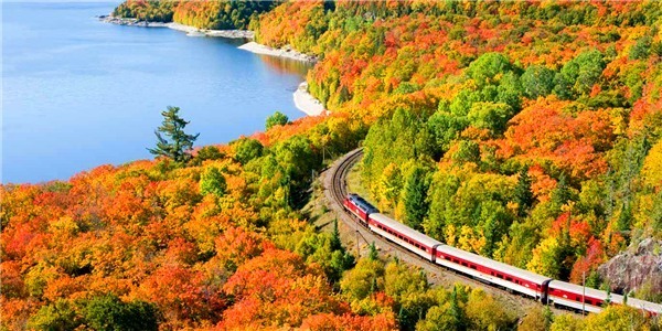 专家学者汇聚一堂 为草学创新和草业可连续生长孝敬智慧:beat365平台入口(图5)
专家学者汇聚一堂 为草学创新和草业可连续生长孝敬智慧:beat365平台入口(图5)