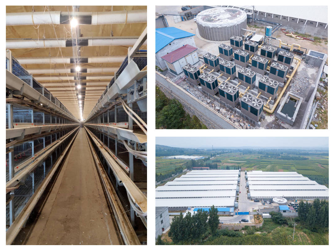 节能革新|beats365(图6)
节能革新|beats365(图6)