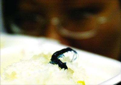 温家宝在政府工作报告中关注养猪业【beat365平台入口】(图3)