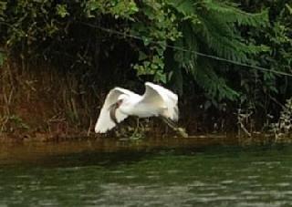 beats365唯一官网