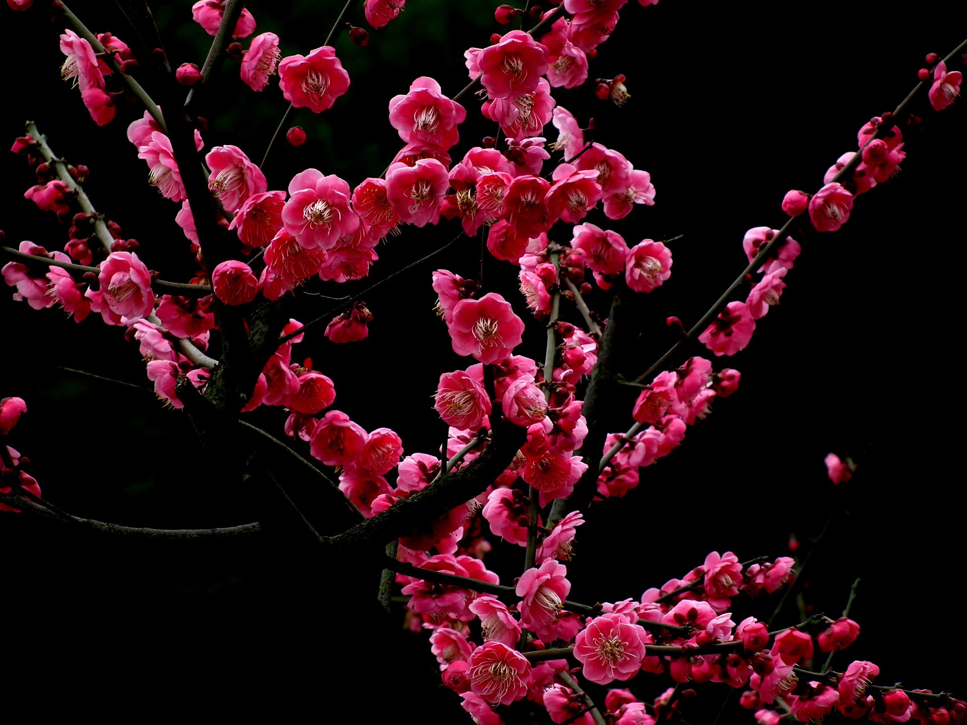 beats365_“中国寻根之旅”福建海丝文化营开营(图1)