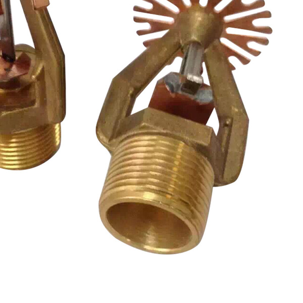 技师学院部分毕业生可享全日制大专学历待遇‘beat365平台入口’(图2)