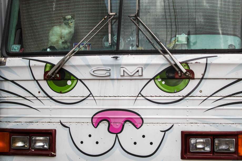 beats365唯一官网|
什么类型的男子容易出轨?(图2) beats365唯一官网|
什么类型的男子容易出轨?(图2)