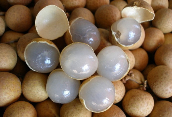 广西兴业建设六大畜牧业项目【beat365平台入口】(图2)