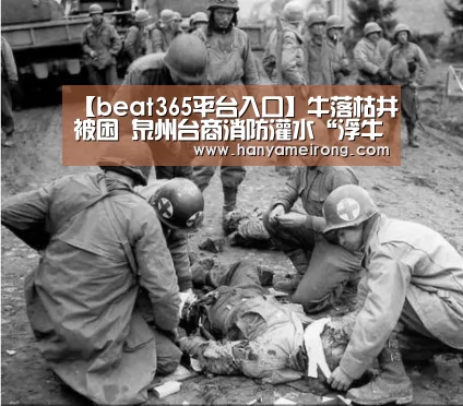 【beat365平台入口】牛落枯井被困  泉州台商消防灌水“浮牛”(图2)