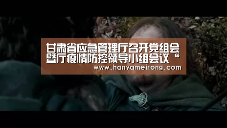 甘肃省应急管理厅召开党组会暨厅疫情防控领导小组会议“beats365唯一官网”