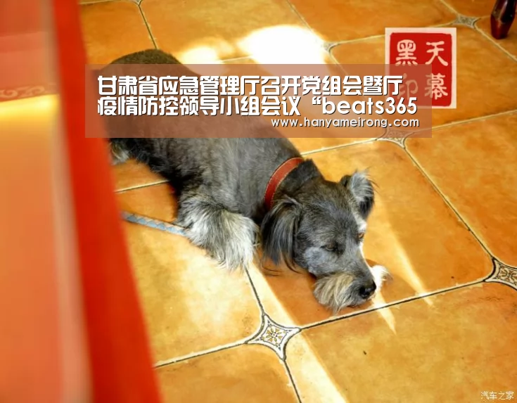 甘肃省应急管理厅召开党组会暨厅疫情防控领导小组会议“beats365唯一官网”(图2) beat365平台入口