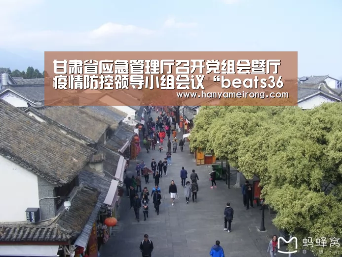甘肃省应急管理厅召开党组会暨厅疫情防控领导小组会议“beats365唯一官网”(图3) beats365唯一官网